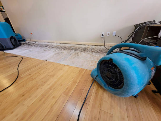 Professional Emergency Water Damage technician working in Cranston, RI